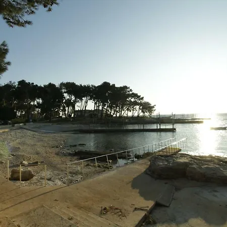 Apartment Put Maslina 7 Savudrija